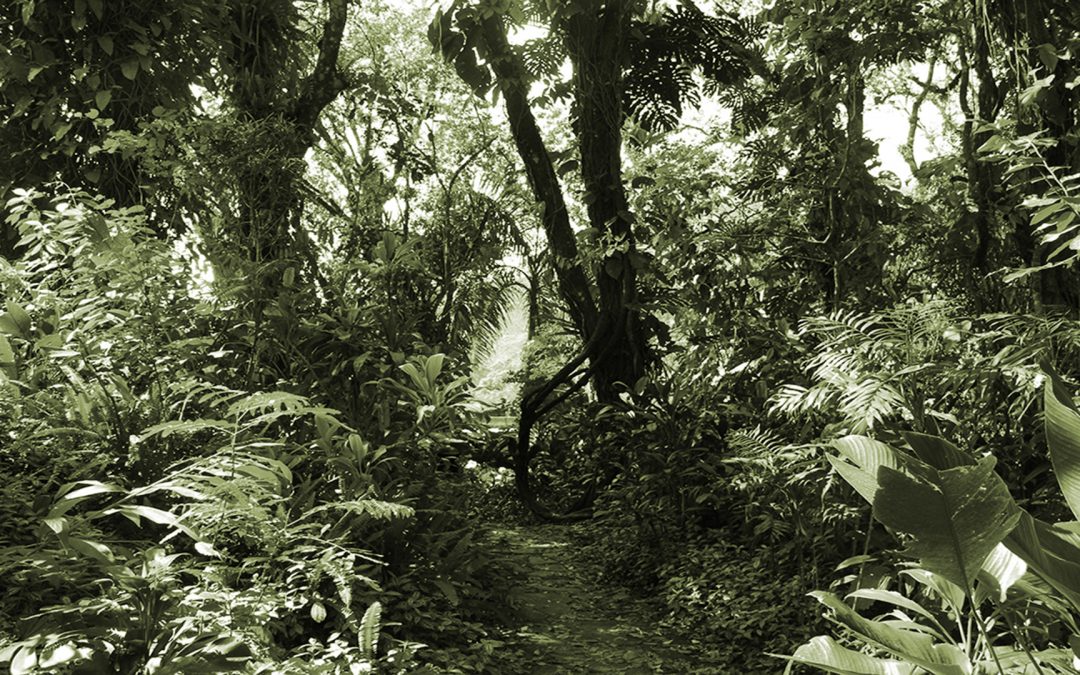 Introducción al universo de «El viaje»